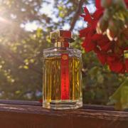 Voleur de Roses L'Artisan Parfumeur perfume - a fragrance for women and ...