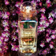 Caleche Eau Delicate Hermès perfume - a fragrance for women 2003