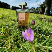 Photo by Элла Шевченко