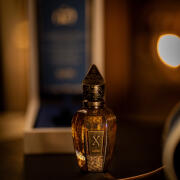 Photo by Omar_Yakine_Frungillo