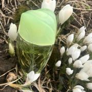 Photo by Люпита