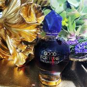 Good Fortune Elixir Intense Viktor&Rolf perfume - a new 