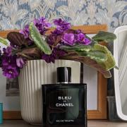 Bleu de Chanel Chanel cologne - a fragrance for men 2010