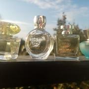 Touhou Klimatologische bergen Rijden Eros Pour Femme Versace perfume - a fragrance for women 2014
