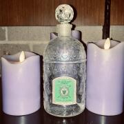 Photo by fragrancenouveau