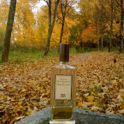 Photo by Lady Winter