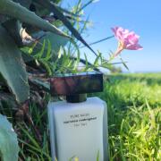 香水(女性用) narciso rodriguez PURE MUSC 100ml Narciso Rodriguez For Her Pure Musc Eau de Parfum Spray