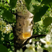 Photo by Lady Winter