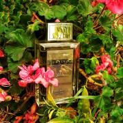 Photo by Reaoo refaat