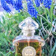 GE8 ゲラン　ルールブルーEDT　500ml L&#039;Heure Bleue Eau de Toilette Guerlain perfume - a