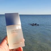 L&#039;Eau d&#039;Issey Pour Homme Noir Ambre Issey Miyake cologne  - a fragrance for men 2016