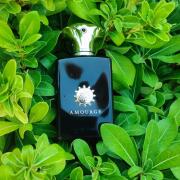 アムアージュ メモワール マン MEMOIR MAN 旧処方 100ml アムアージュ メモワール マン MEMOIR MAN 旧処方 100ml Memoir