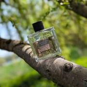Guerlain Homme Eau de Parfum (2016) Guerlain コロン - 2016年の男性