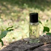 Photo by Эльга К