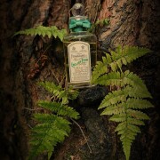 English Fern Penhaligon's perfume - a fragrance for women and men 1890