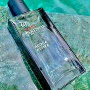 Photo by ZavarukhinSerge