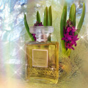 Chanel No 19 Poudre Chanel perfume - a fragrance for women 2011