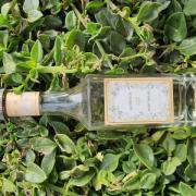 Photo by fantasticoo