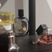 Opsis Diptyque perfume - a fragrance for women and men 2022
