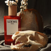 Solo Vulcan Loewe cologne - a new fragrance for men 2024