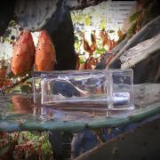 Photo by Лейка@@@