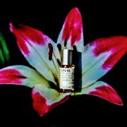 lys 41 fragrantica