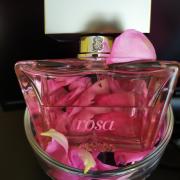 Colonia best sale tous rosa