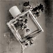 Allsaints metal wave online fragrantica