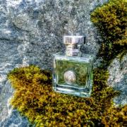Productie vrachtauto Versnellen Versense Versace perfume - a fragrance for women 2009