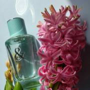 Tiffany & Love For Her Tiffany perfume - a fragrance