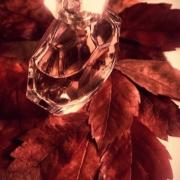 VIP Private Show Britney Spears perfume - a fragrance for