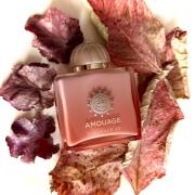 Guidance 46 Amouage 香水- 一款2024年新的中性香水