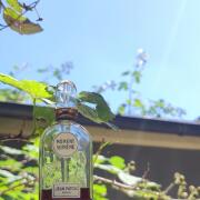 Moment Supreme Jean Patou perfume - a fragrance for women 1929