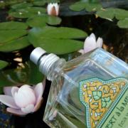 The Vert Green Tea L&#;Occitane en Provence perfume   a