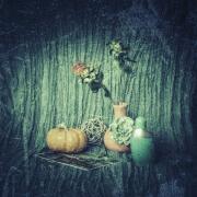 Photo by Bloodberry1