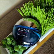 Aqva Pour Homme Atlantiqve Bvlgari cologne - a fragrance for men 2017