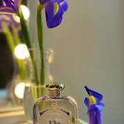 L'Iris Santa Maria Novella perfume - a fragrance for women and men