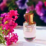 Desert Eden Estée Lauder perfume - a fragrance for women and men 2021
