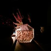 Photo by fabrice1977