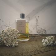 Nuit de Bakélite Naomi Goodsir perfume - a fragrance for women and men 2017