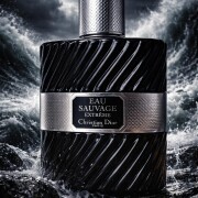 Eau Sauvage Extreme 2010 Dior Colônia - a fragrância Masculino 2010