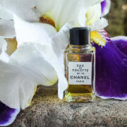 Chanel No 19 Eau de Parfum Chanel perfume - a fragrance for