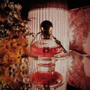 Photo by fabrice1977