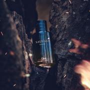 Sauvage Elixir Dior cologne  a fragrance for men 2021
