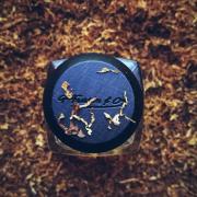 Photo by ciapciarapciapek