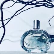 Barénia Hermès perfume - a new fragrance for women 2024