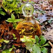 Photo by Вешняя