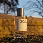 Papyrus Moleculaire Maison Crivelli perfume - a fragrance