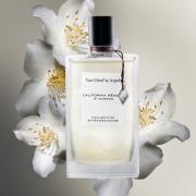 fragrantica van cleef and arpels