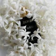 Photo by scent_pop_art